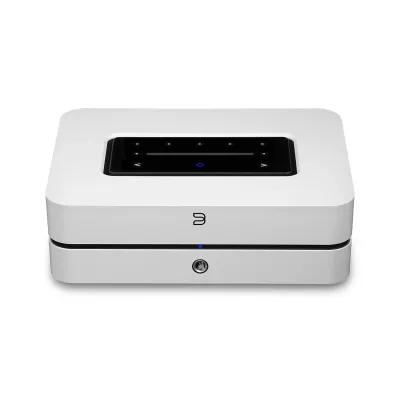 Bluesound Powernode N331 a Ginevra | Digistore.ch
